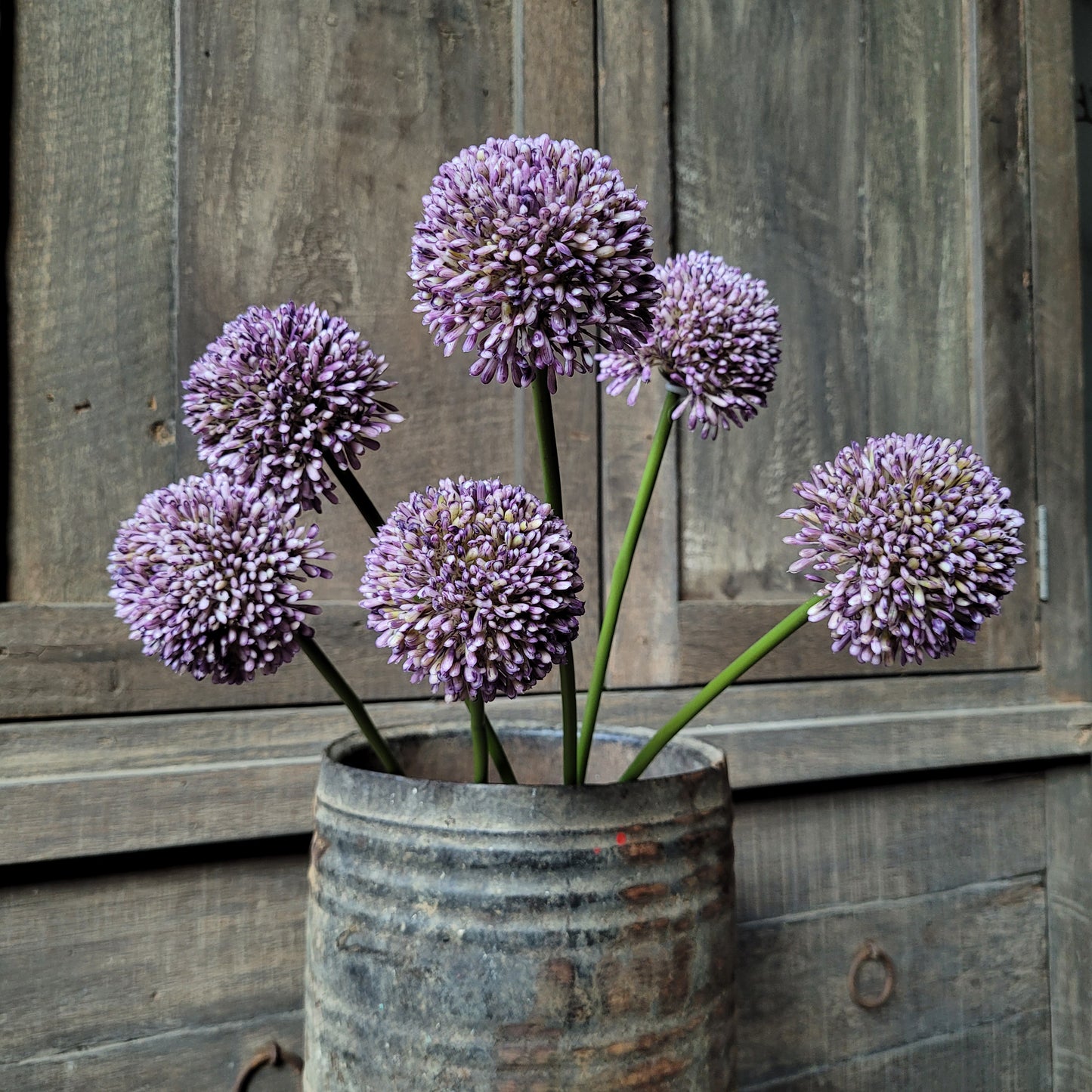 Kunst allium bol 3 stuks 43cm