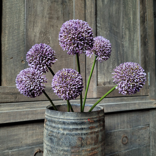 Kunst allium bol 3 stuks 43cm