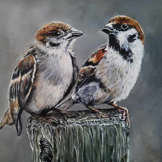 Stoer & sober schilderij mussen