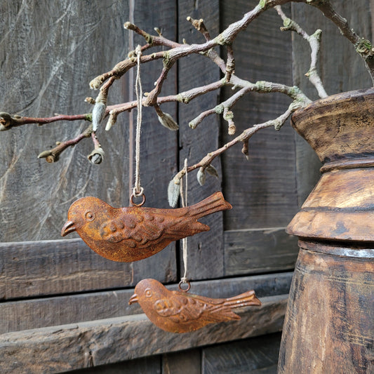 Vogel hanger aan touw roest