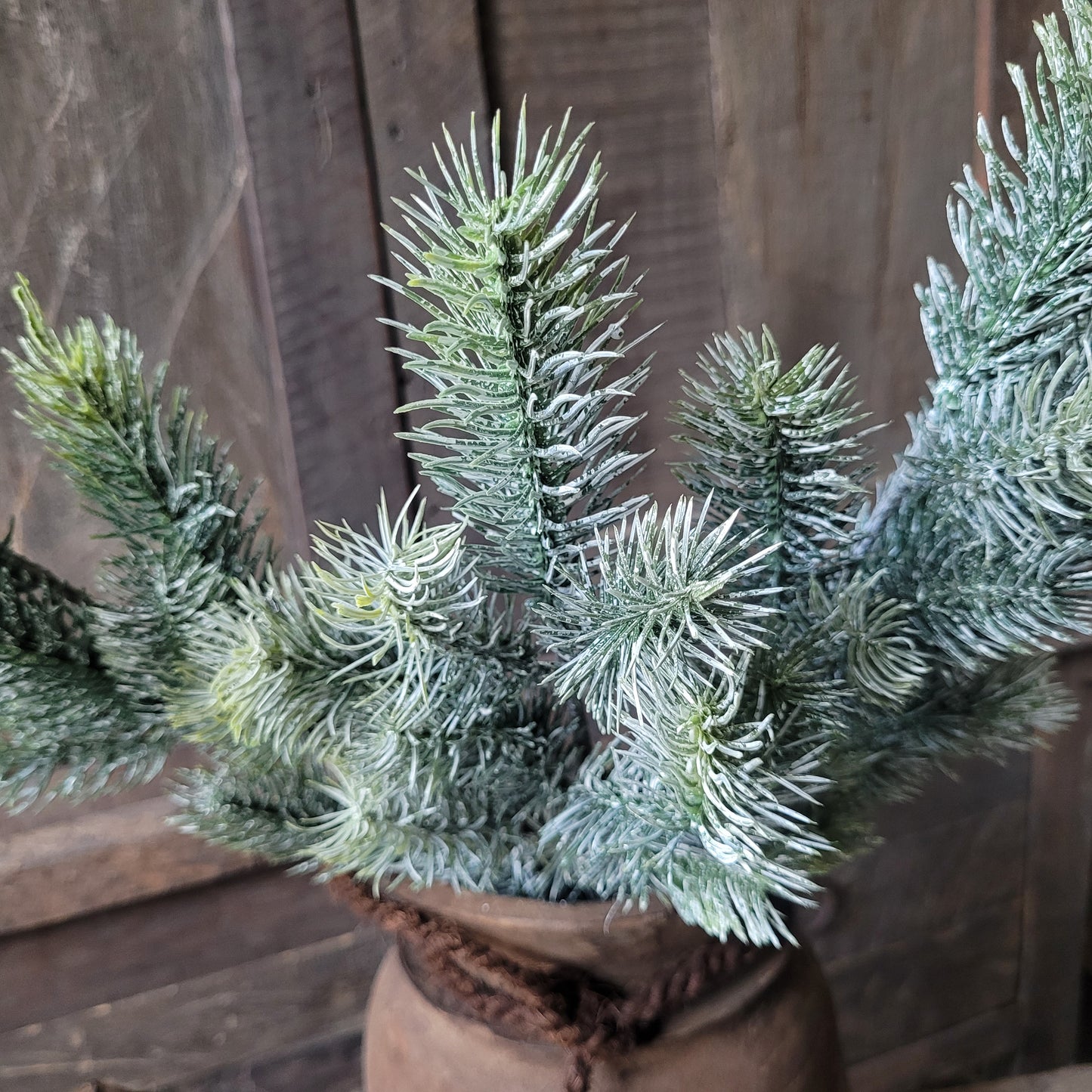 Kunsttak nobilis Brynxz 50cm