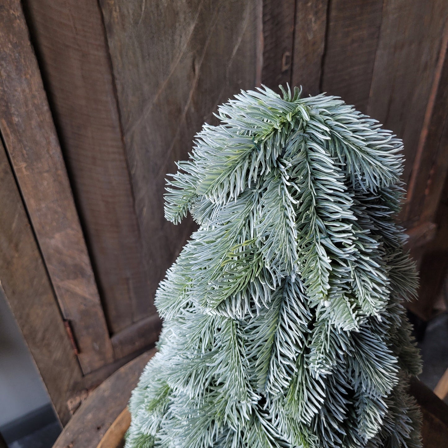 Kunst nobilis boompje Brynxz L