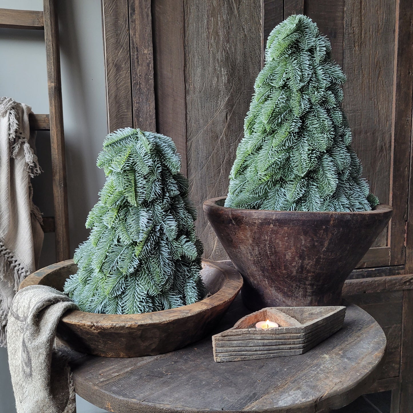 Kunst nobilis boompje Brynxz M