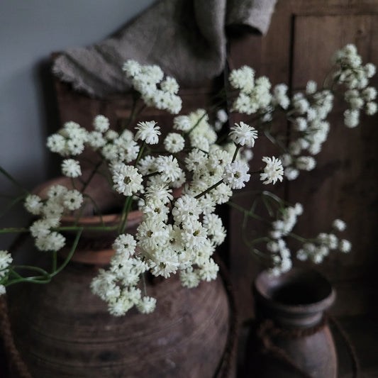 Kunsttak gipskruid bloem wit 60cm