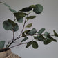 Eucalyptus kunst tak 90cm