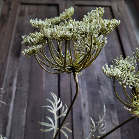 Kunst tak Wilde Peen 65cm