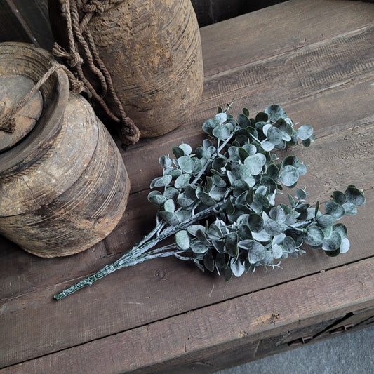 Toef kunst Eucalyptus