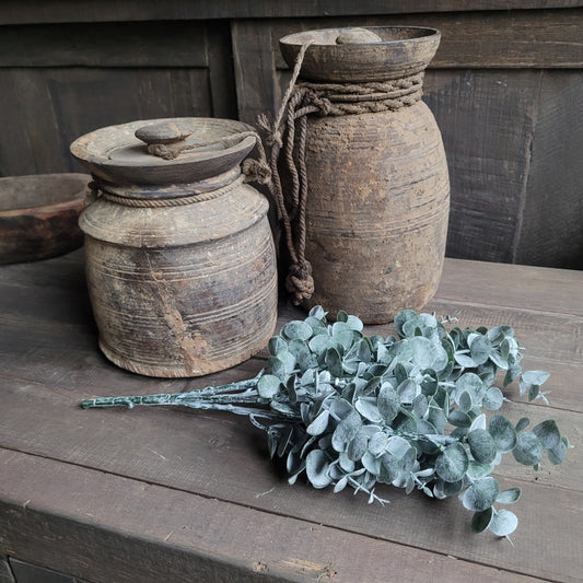 Toef kunst Eucalyptus