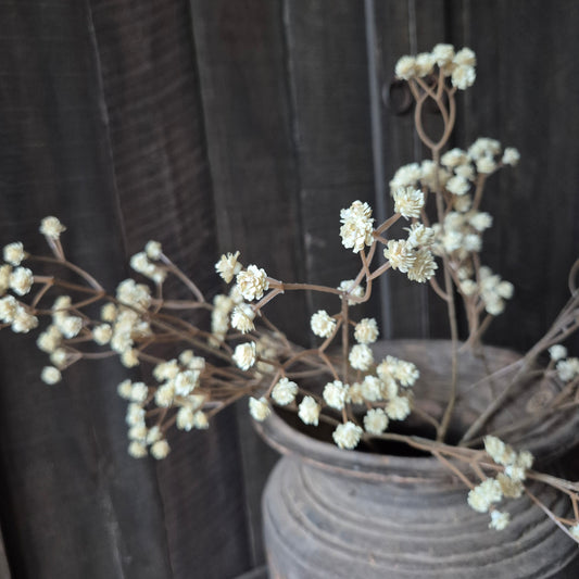 Kunsttak gipskruid beige 65cm