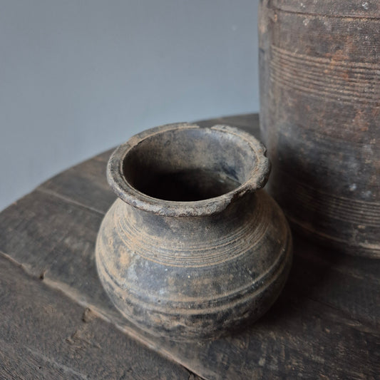 Tuimelkruik uniek nr. 6