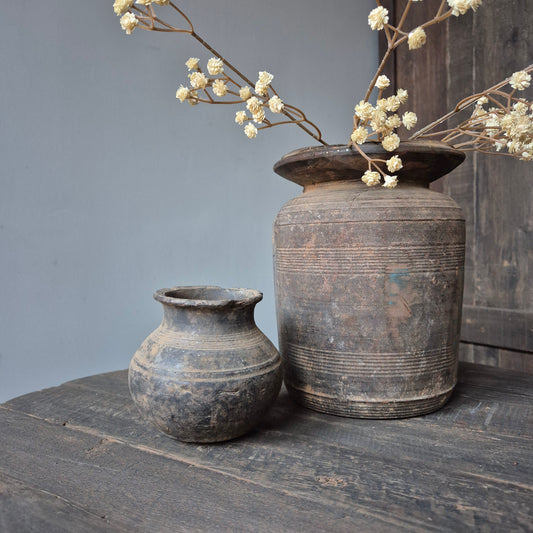 Tuimelkruik uniek nr. 6