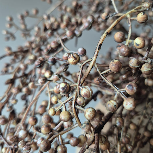 Kunsttak Rozenbottel 80cm