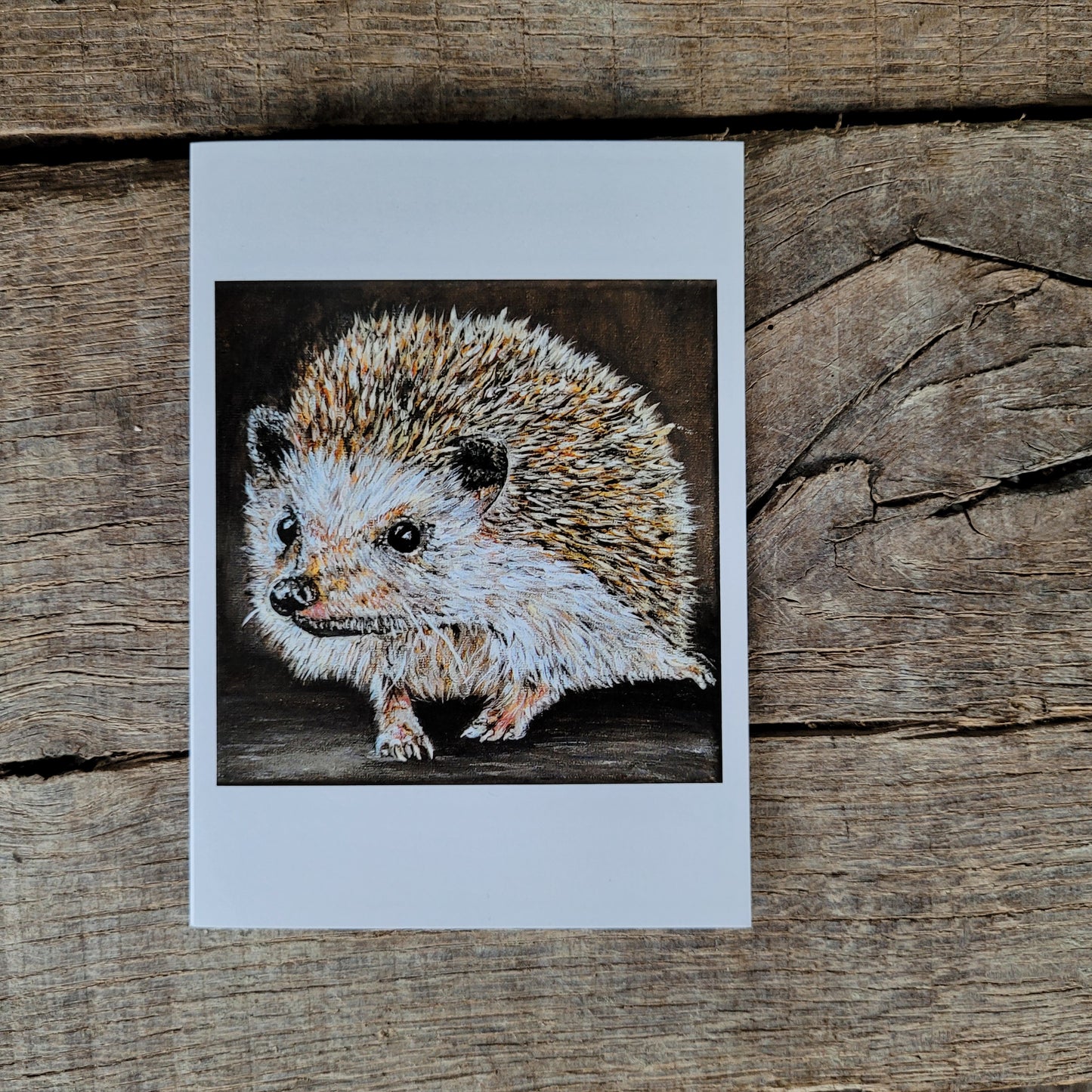 Wenskaart egel