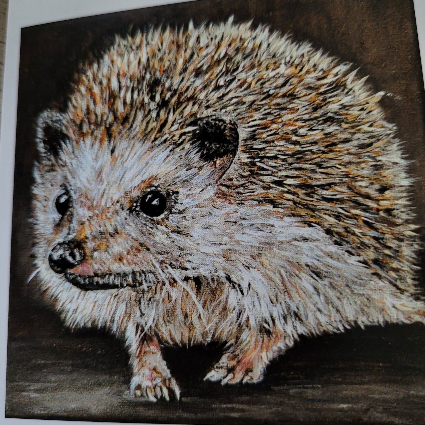 Wenskaart egel