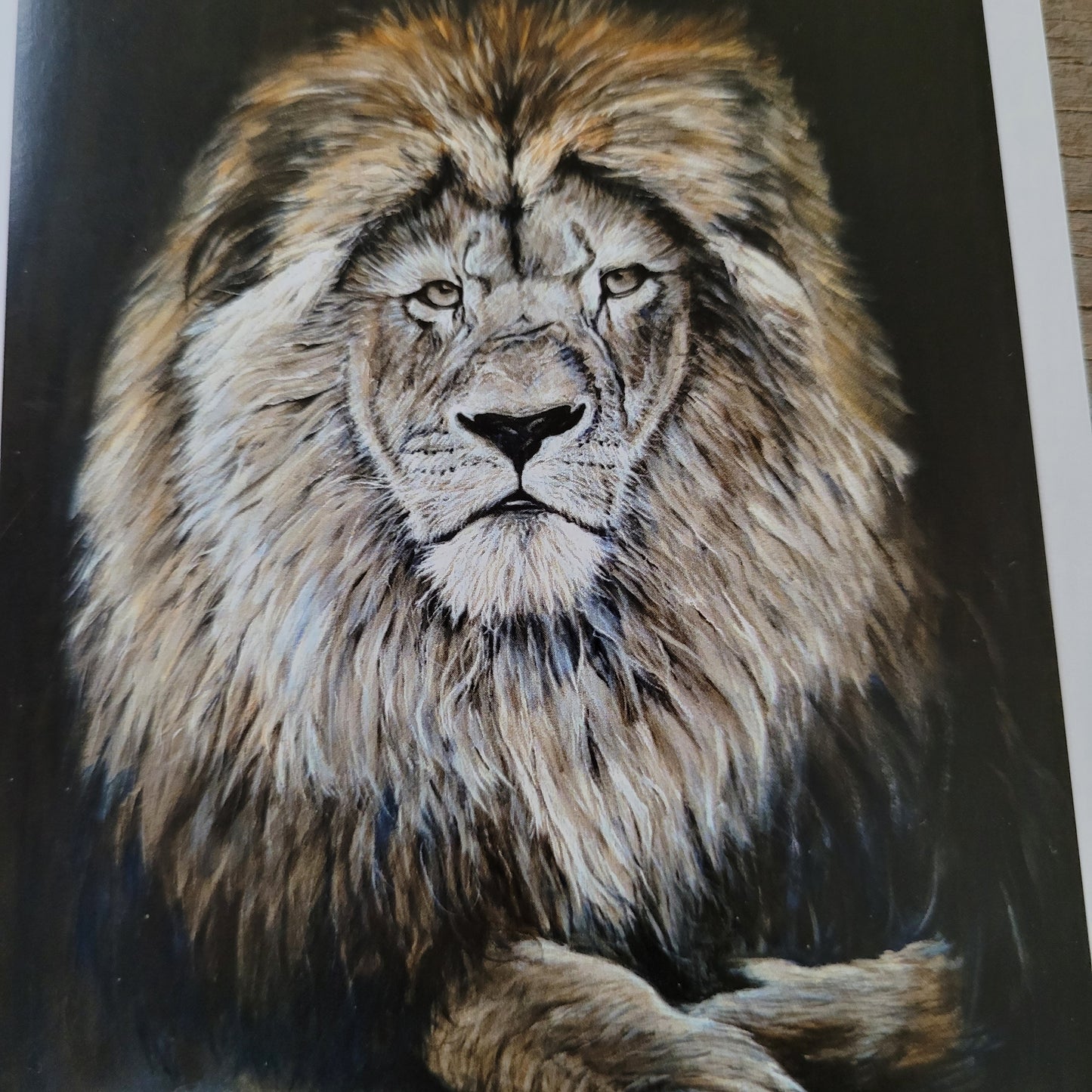 Wenskaart leeuw
