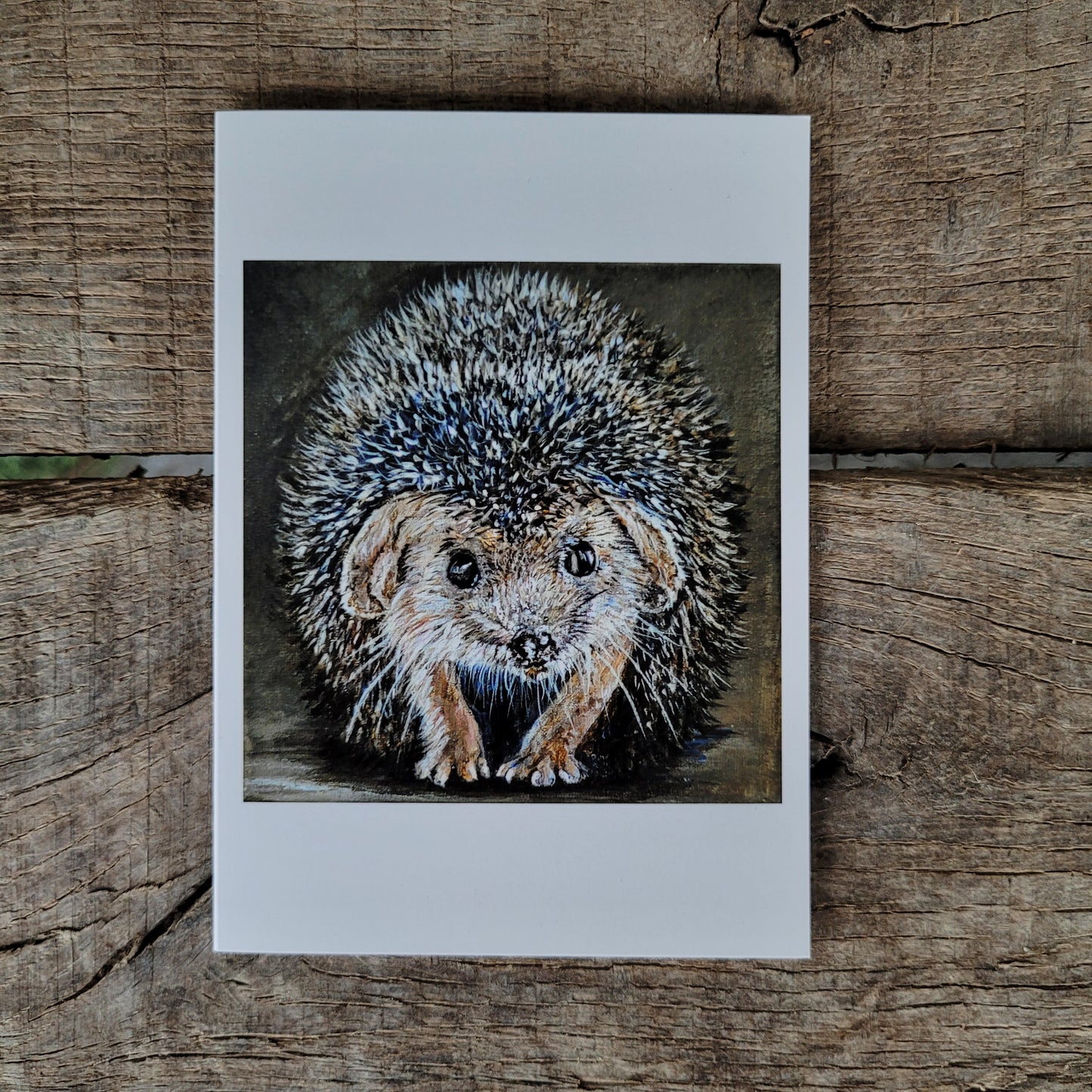 Wenskaart egel