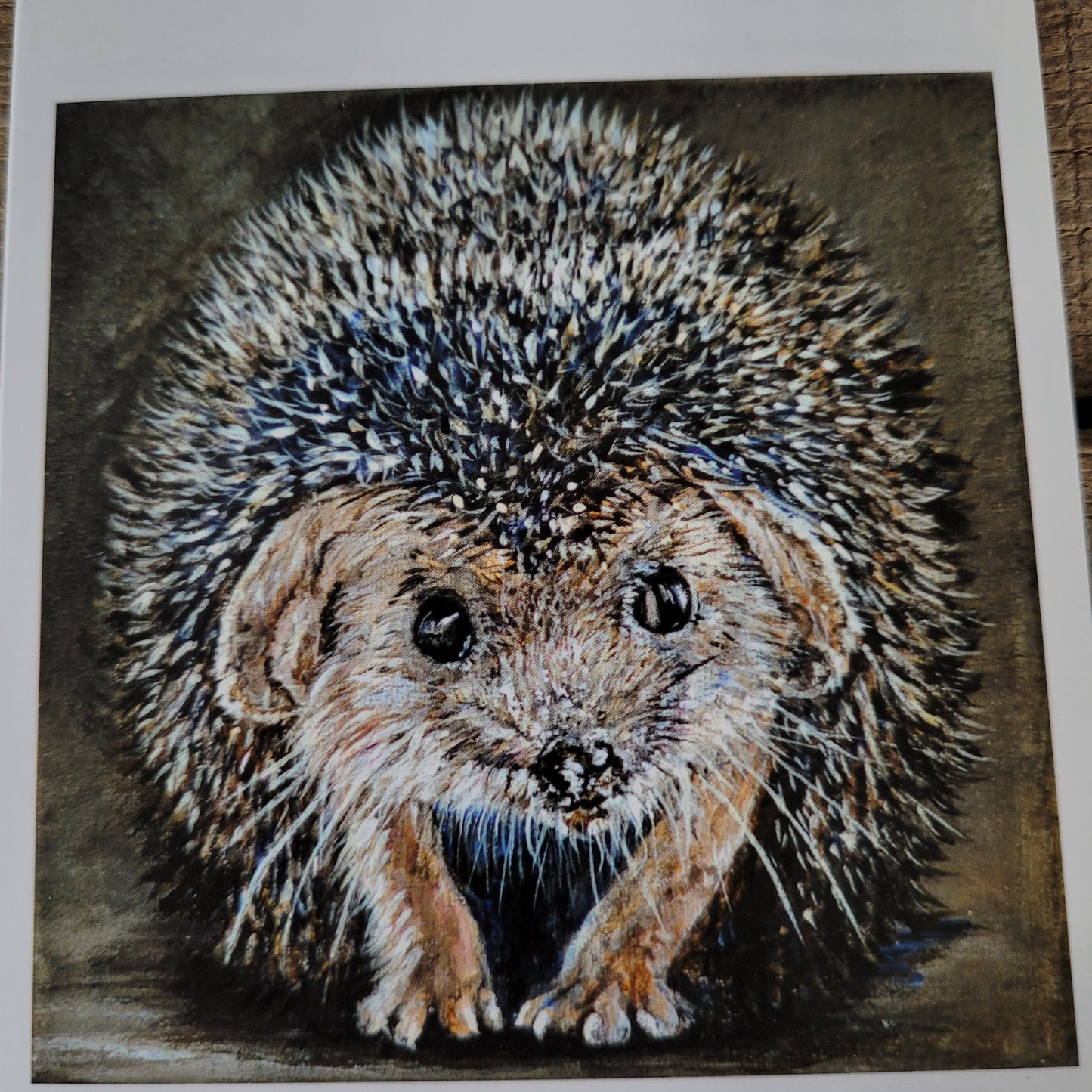 Wenskaart egel