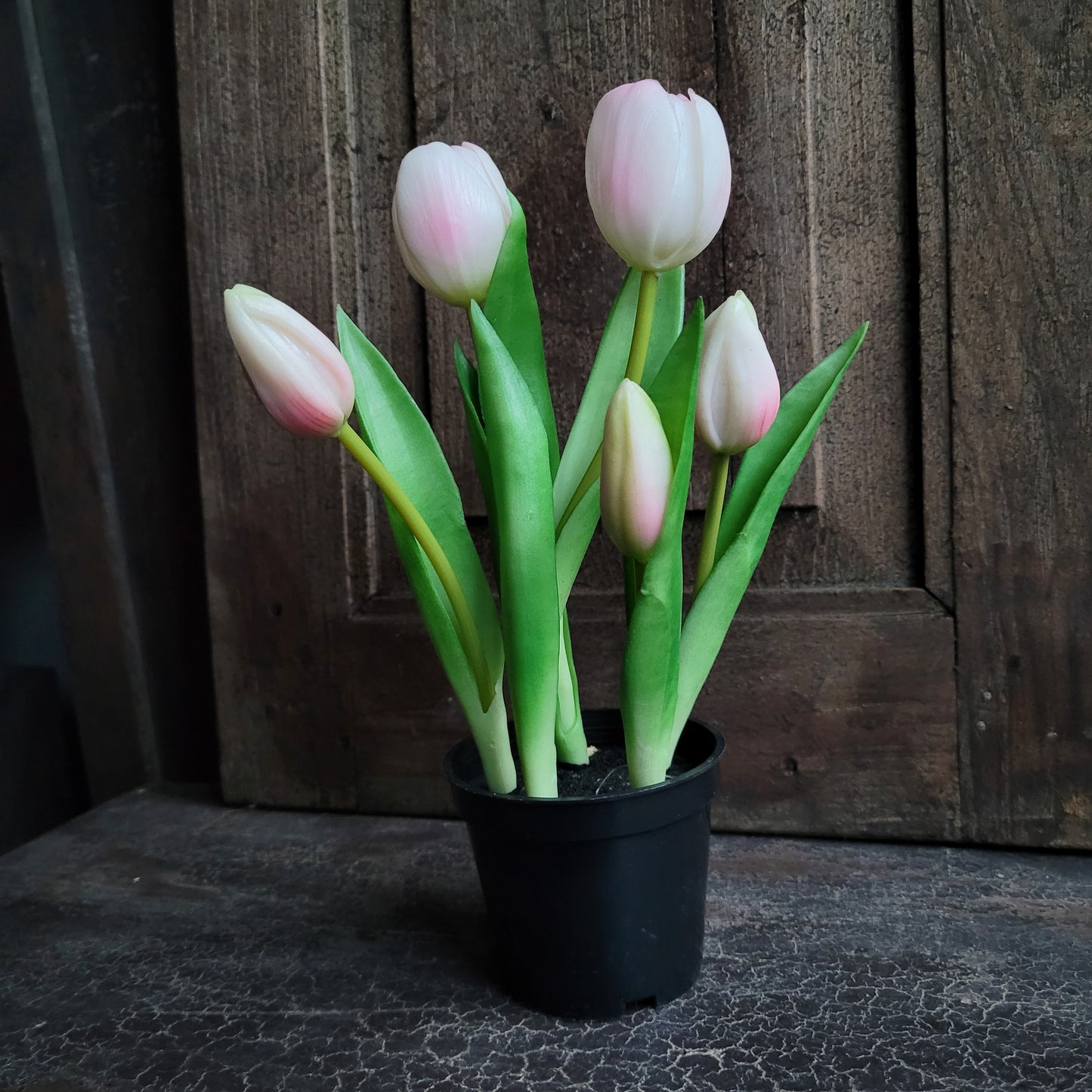 Tulpen kunst in potje