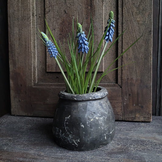 Blauwe druifjes kunst