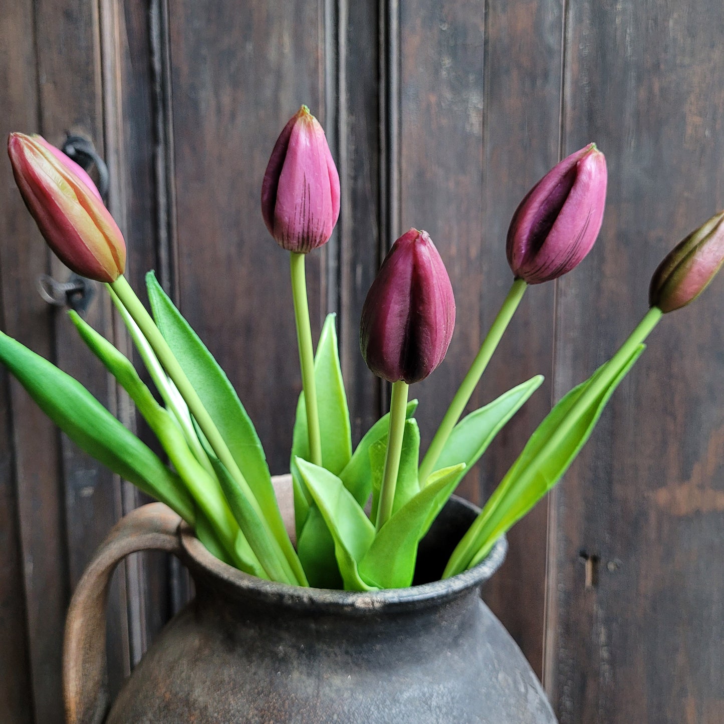 Bos kunst tulpen aubergine 43cm