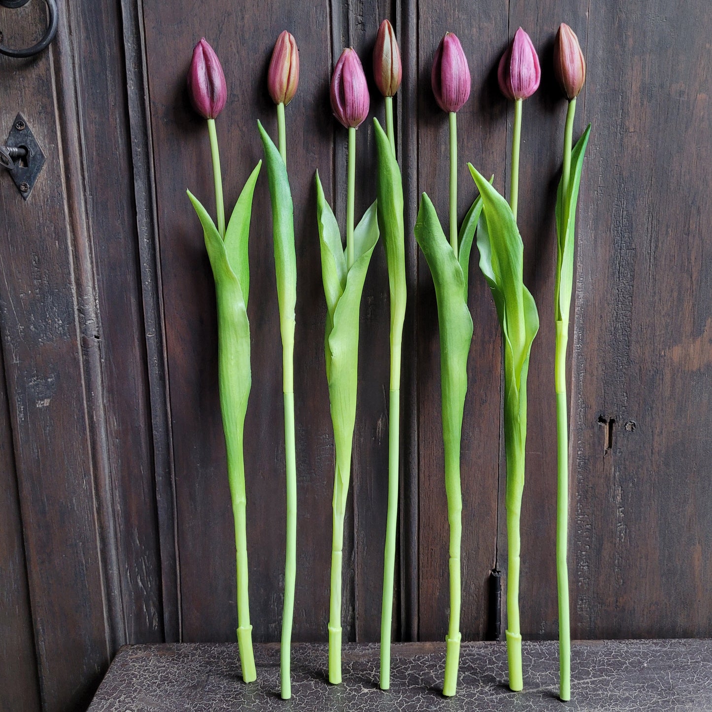 Bos kunst tulpen aubergine 43cm