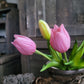 Bos kunst tulpen mauve roze 25cm