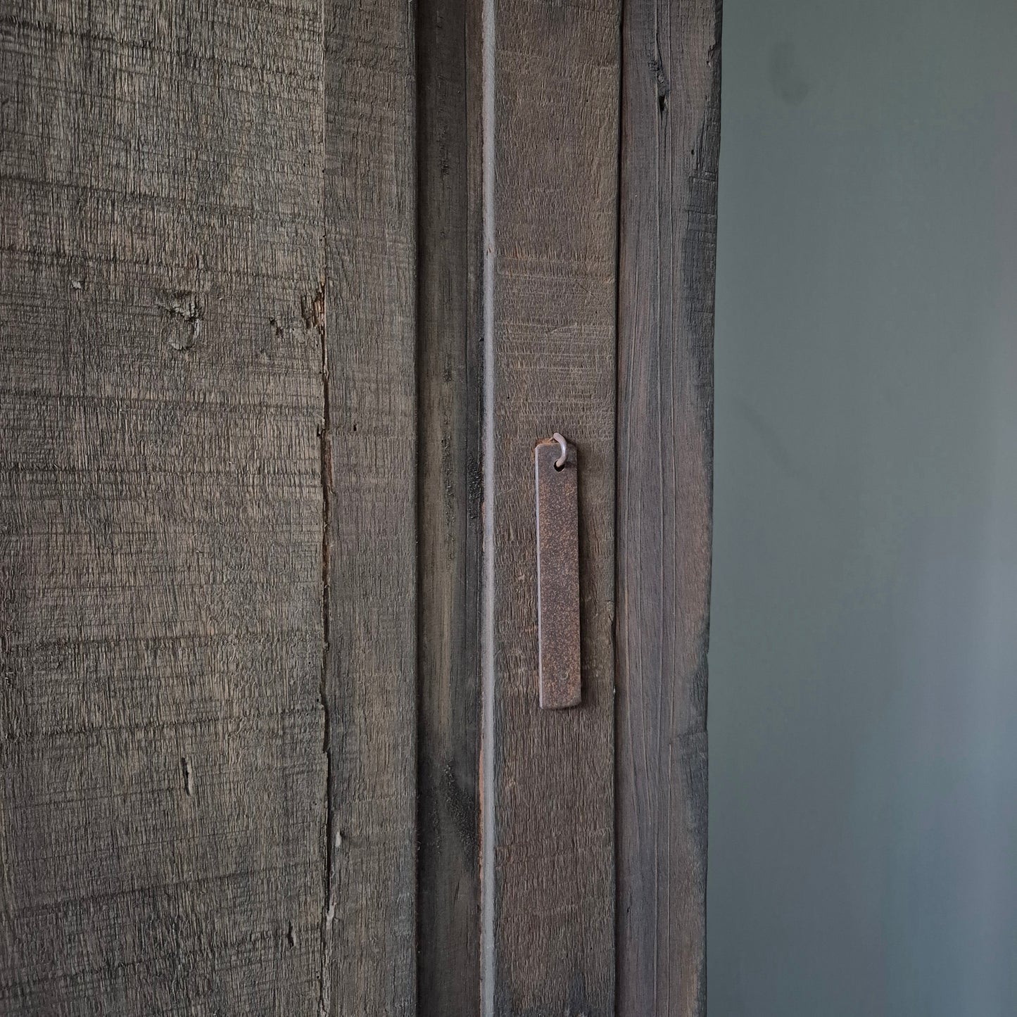 Hoge eendeurs kast lungo driftwood