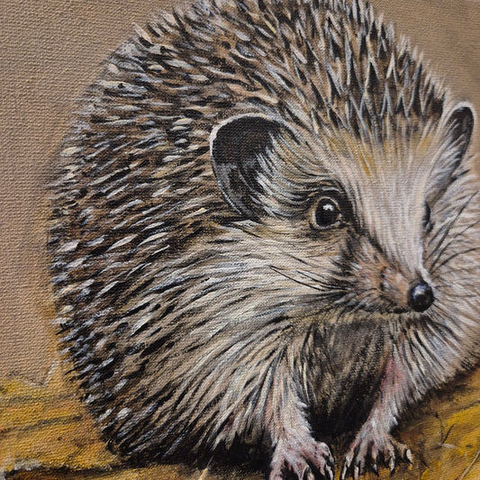 Stoer & sober schilderij Egel handgeschilderd