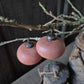 Kerstbal glas roest | 8cm