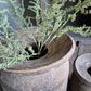 Oud houten kruik XL nr. 100 (links)