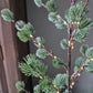 Kunst Kerstboom pinus | incl. verlichting 80cm