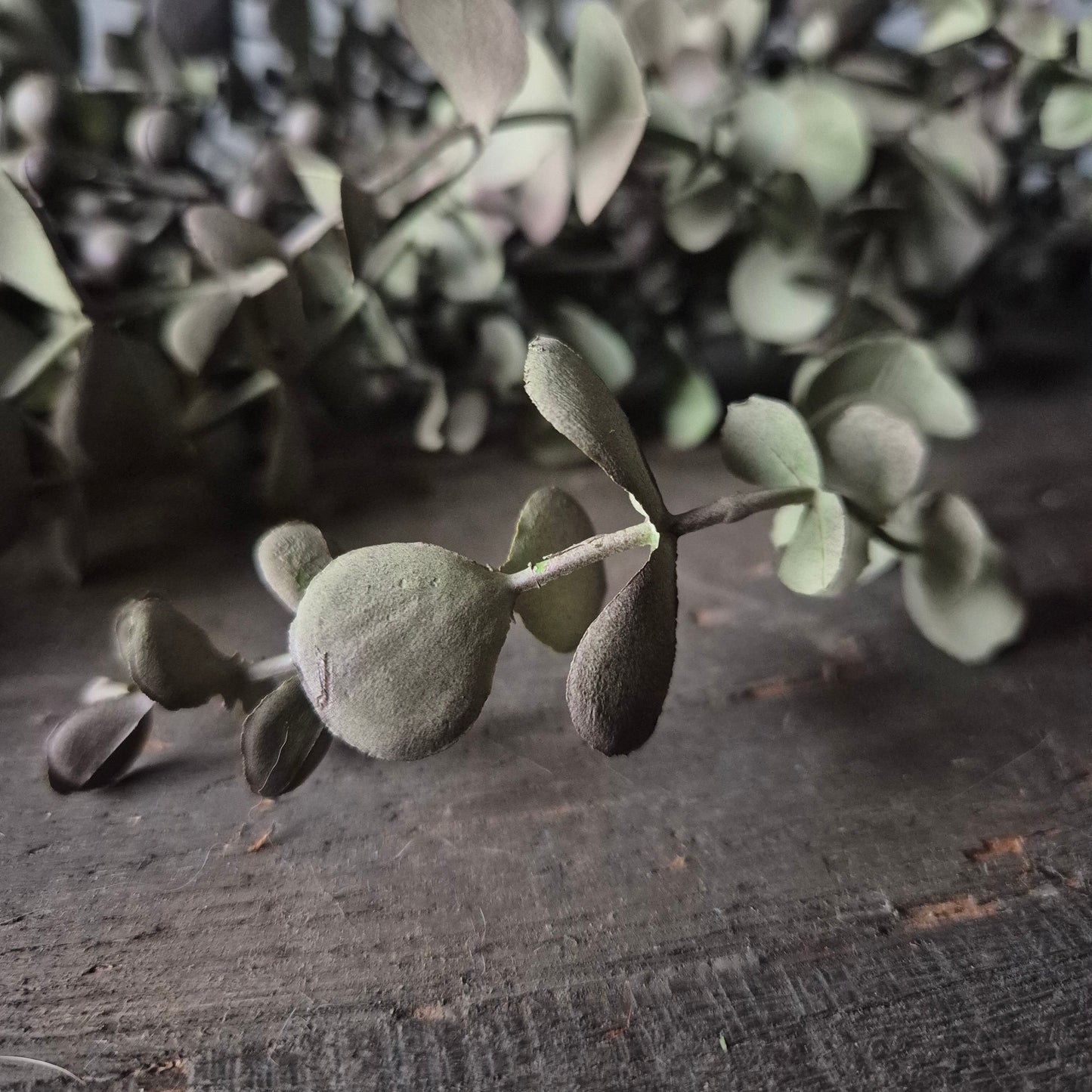 Kunst Eucalyptus toef 95cm