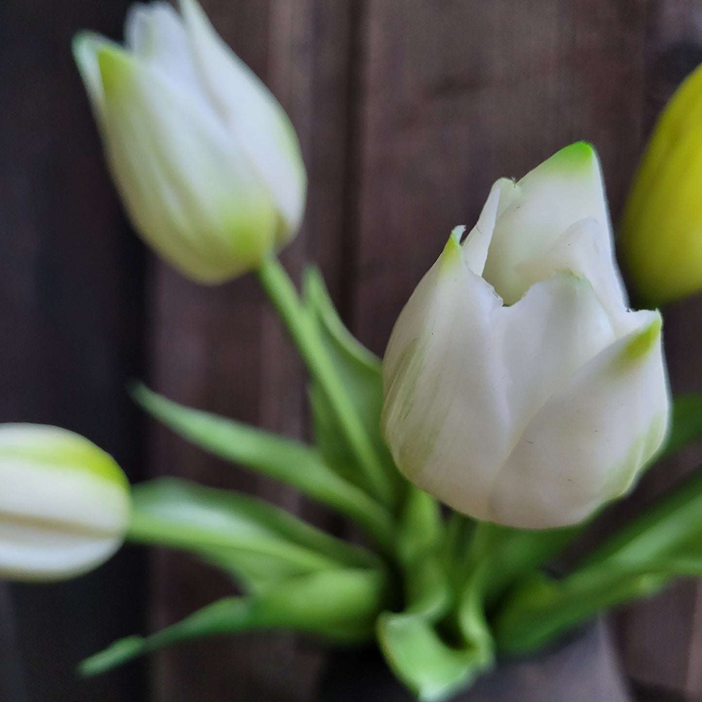 Bos kunst tulpen wit creme 25cm