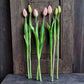 Bos kunst tulpen zacht roze 43cm